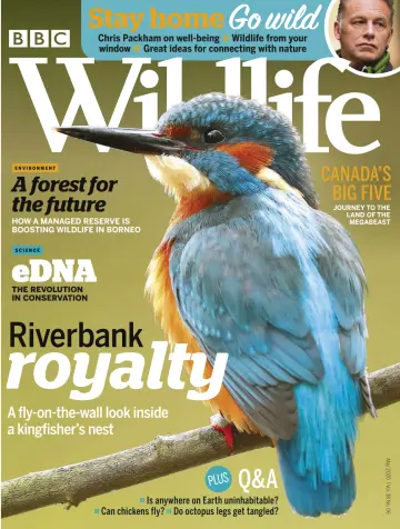 BBC Wildlife Magazine - 7 May 2020