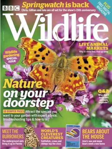 BBC Wildlife Magazine - 4 Jun 2020