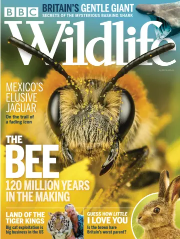BBC Wildlife Magazine - 2 Jul 2020