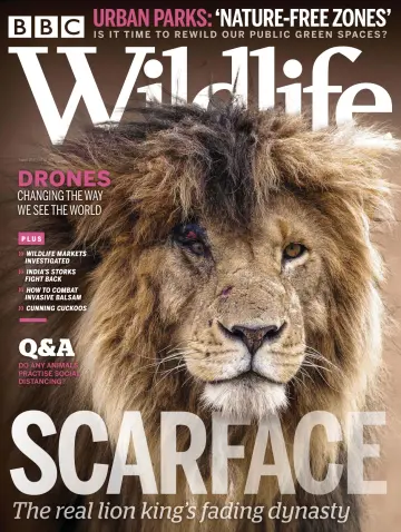 BBC Wildlife Magazine - 30 Jul 2020