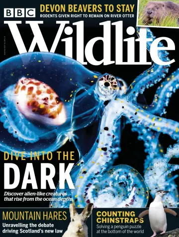 BBC Wildlife Magazine - 27 Aug 2020