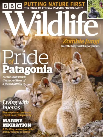 BBC Wildlife Magazine - 24 Sep 2020