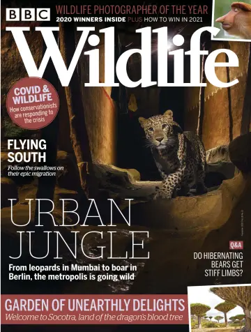 BBC Wildlife Magazine - 22 Oct 2020
