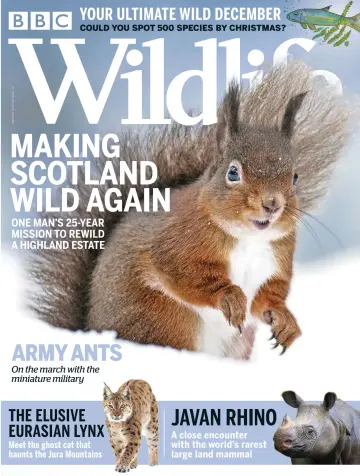 BBC Wildlife Magazine - 19 Nov 2020