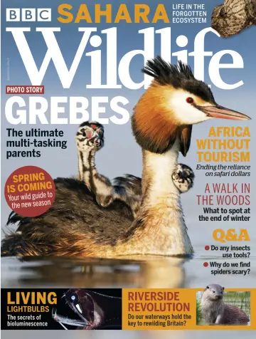 BBC Wildlife Magazine - 11 Feb 2021