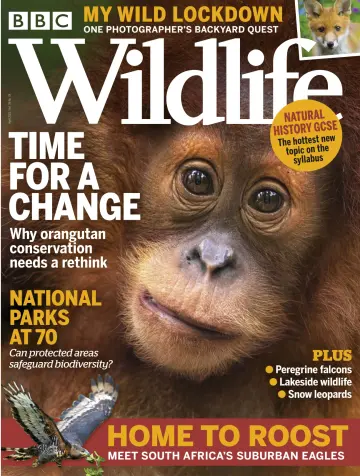 BBC Wildlife Magazine - 11 Mar 2021