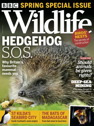 BBC Wildlife Magazine - 8 Apr 2021