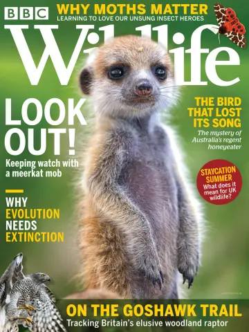 BBC Wildlife Magazine - 1 Jul 2021
