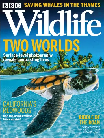 BBC Wildlife Magazine - 30 Sep 2021