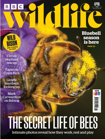 BBC Wildlife Magazine - 10 Mar 2022