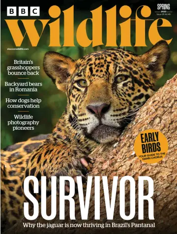 BBC Wildlife Magazine - 7 Apr 2022