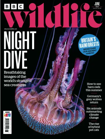 BBC Wildlife Magazine - 20 May 2022