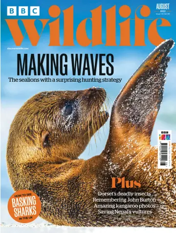 BBC Wildlife Magazine - 28 Jul 2022