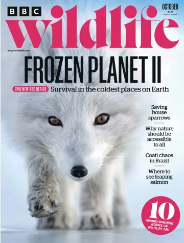 BBC Wildlife Magazine - 22 九月 2022