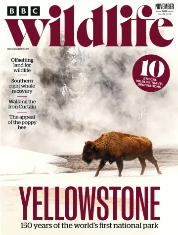 BBC Wildlife Magazine - 20 10월 2022