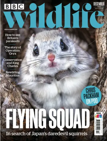 BBC Wildlife Magazine - 17 十一月 2022