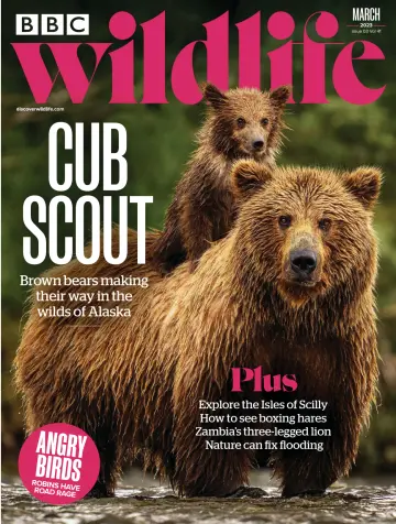 BBC Wildlife Magazine - 09 2月 2023