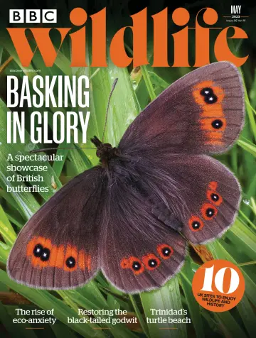 BBC Wildlife Magazine - 04 mayo 2023