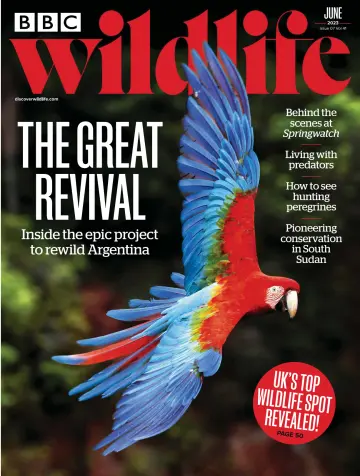 BBC Wildlife Magazine - 01 jun. 2023