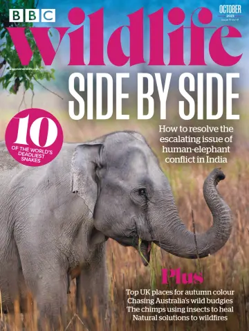 BBC Wildlife Magazine - 21 sept. 2023