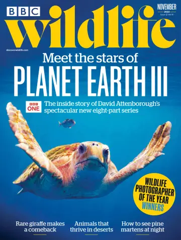 BBC Wildlife Magazine - 19 10月 2023