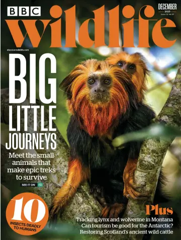 BBC Wildlife Magazine - 16 Nov 2023