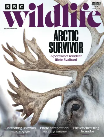 BBC Wildlife Magazine - 14 déc. 2023