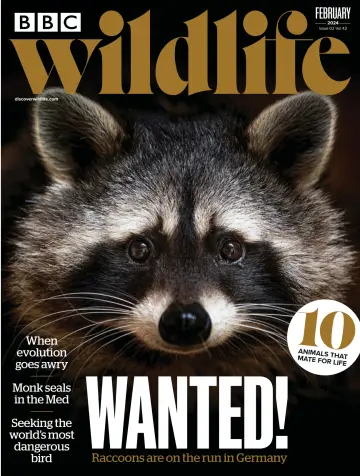 BBC Wildlife Magazine - 11 jan. 2024