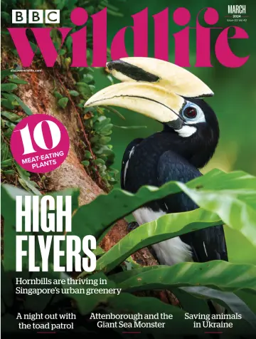BBC Wildlife Magazine - 8 Feb 2024