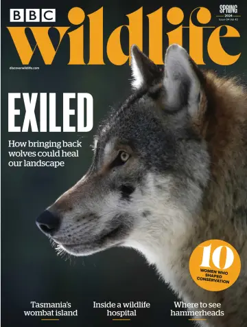 BBC Wildlife Magazine - 13 三月 2024