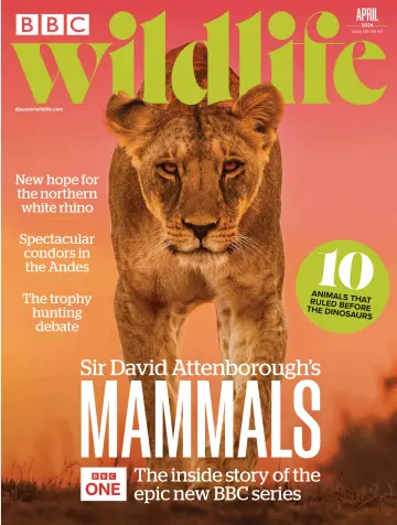 BBC Wildlife Magazine - 04 Apr. 2024