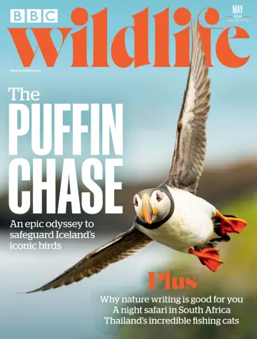 BBC Wildlife Magazine - 02 май 2024