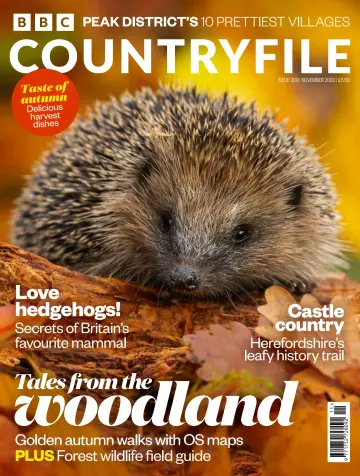 BBC Countryfile Magazine - 19 Oct 2023
