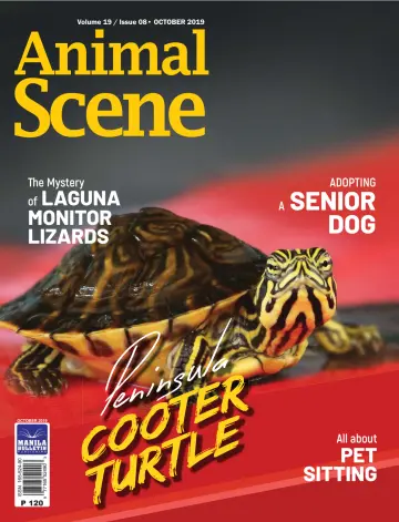 Animal Scene - 01 十月 2019