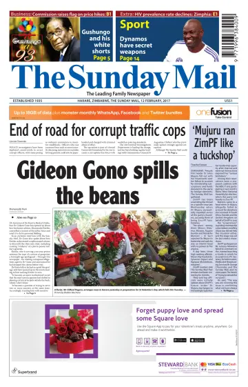The Sunday Mail (Zimbabwe) - 12 Feb 2017