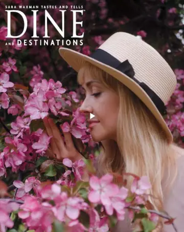 DINE and Destinations - 17 abril 2023