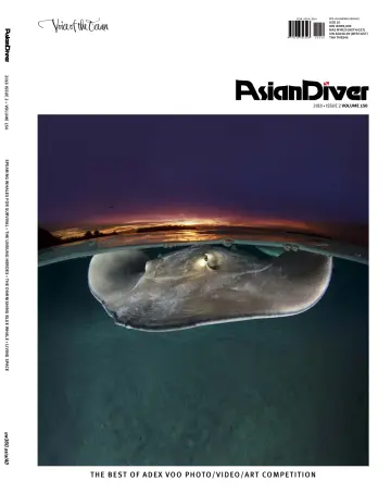 Asian Diver (English) - 23 julho 2018