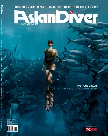Asian Diver (English) - 06 八月 2019
