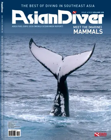 Asian Diver (English) - 01 八月 2020
