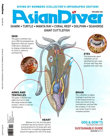 Asian Diver (English) - 01 set 2021