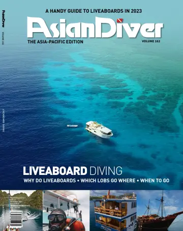 Asian Diver (English) - 01 mayo 2022
