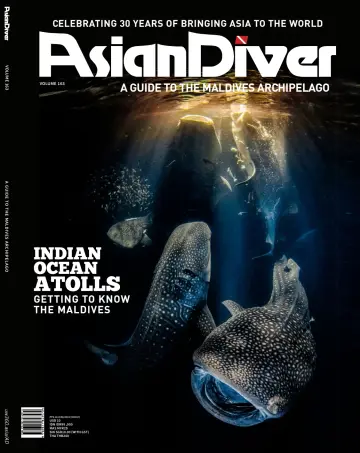 Asian Diver (English) - 01 九月 2022