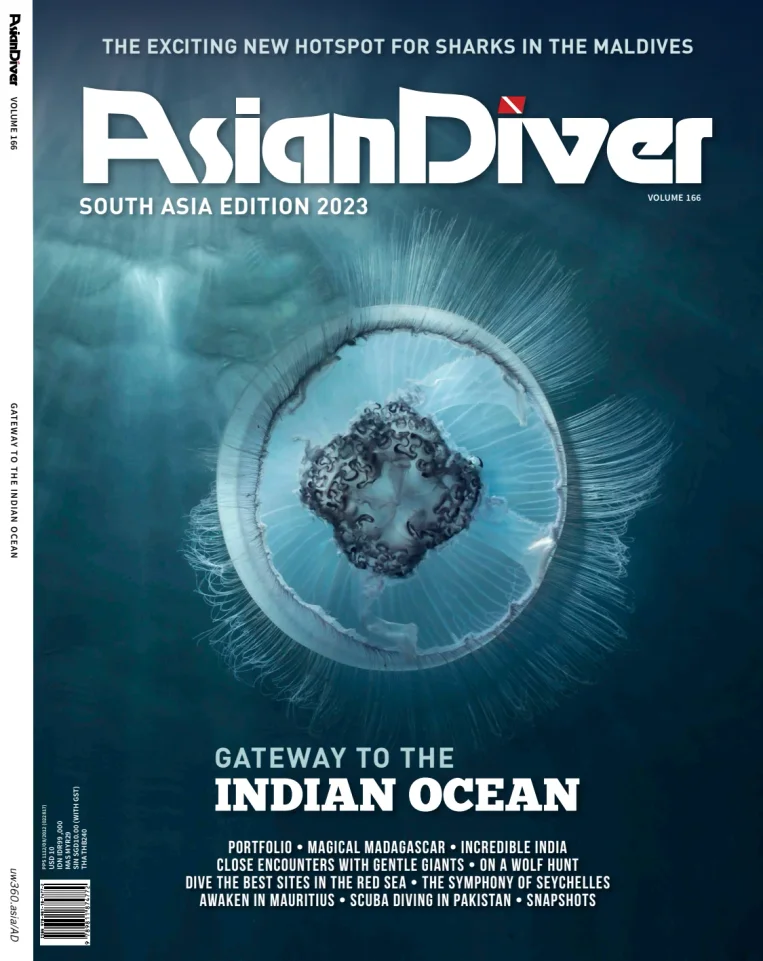 Asian Diver (English)