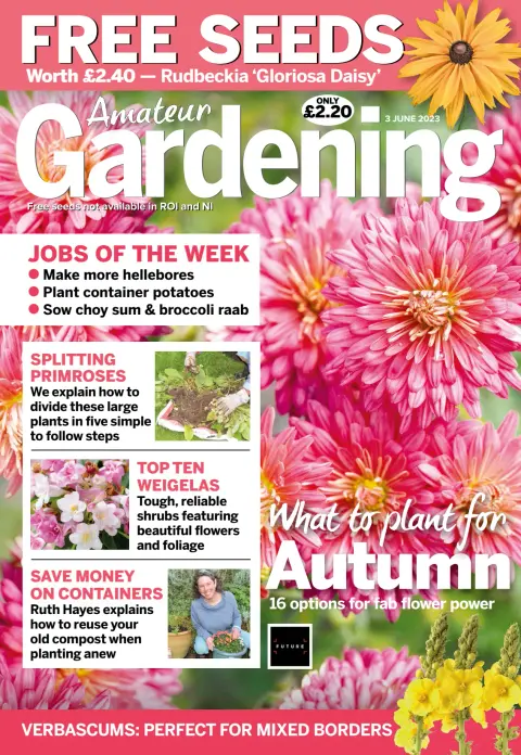 Amateur Gardening