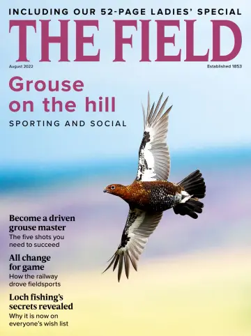 The Field - 01 8月 2022