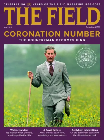 The Field - 01 May 2023