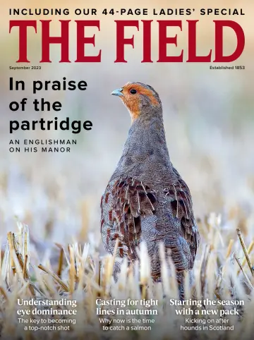 The Field - 1 Sep 2023