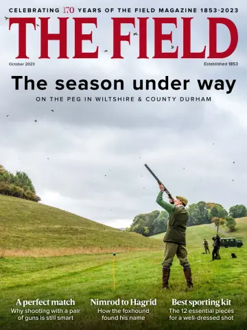 The Field - 01 out. 2023