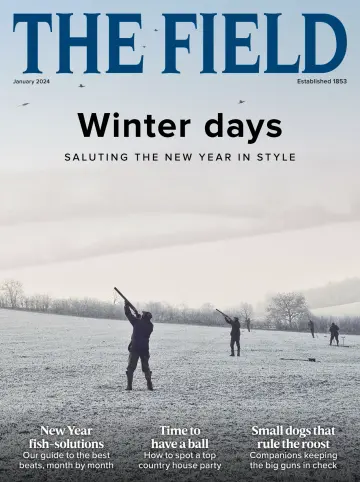 The Field - 01 1月 2024