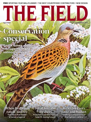 The Field - 01 4月 2024